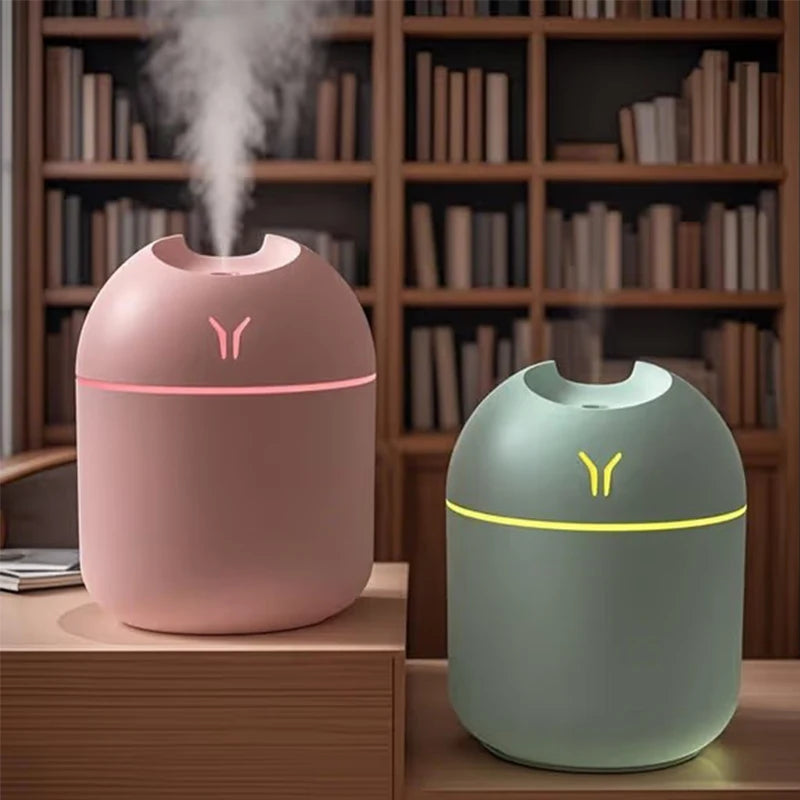 Portable Mini Humidifier