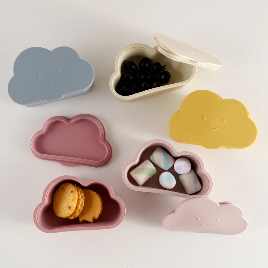 Snack Container With Lid