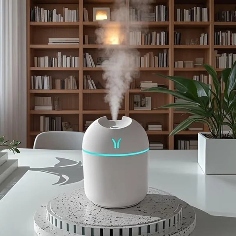 Portable Mini Humidifier