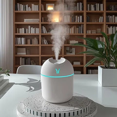 Portable Mini Humidifier