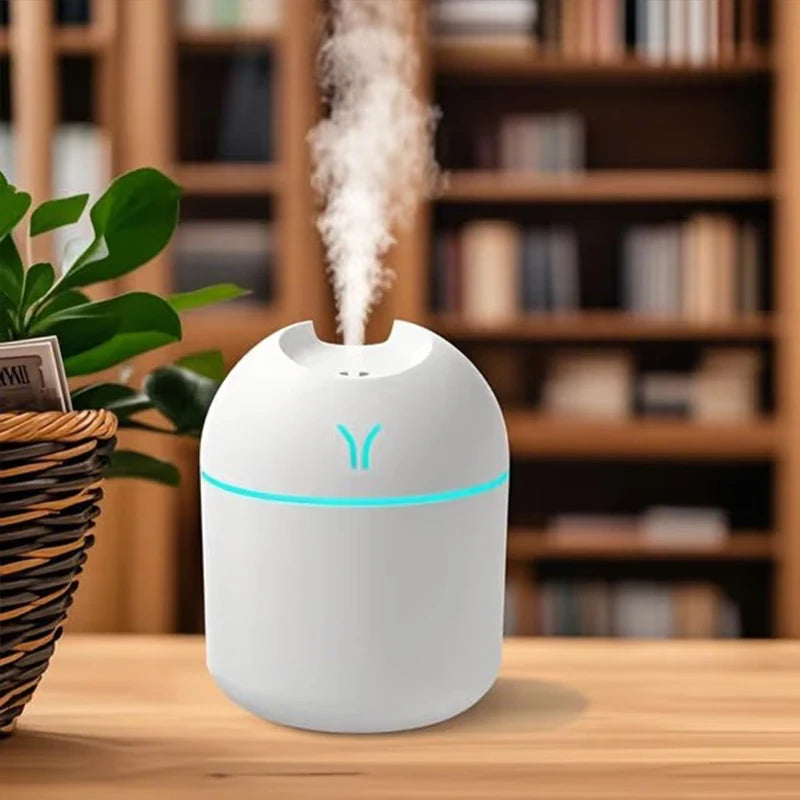Portable Mini Humidifier