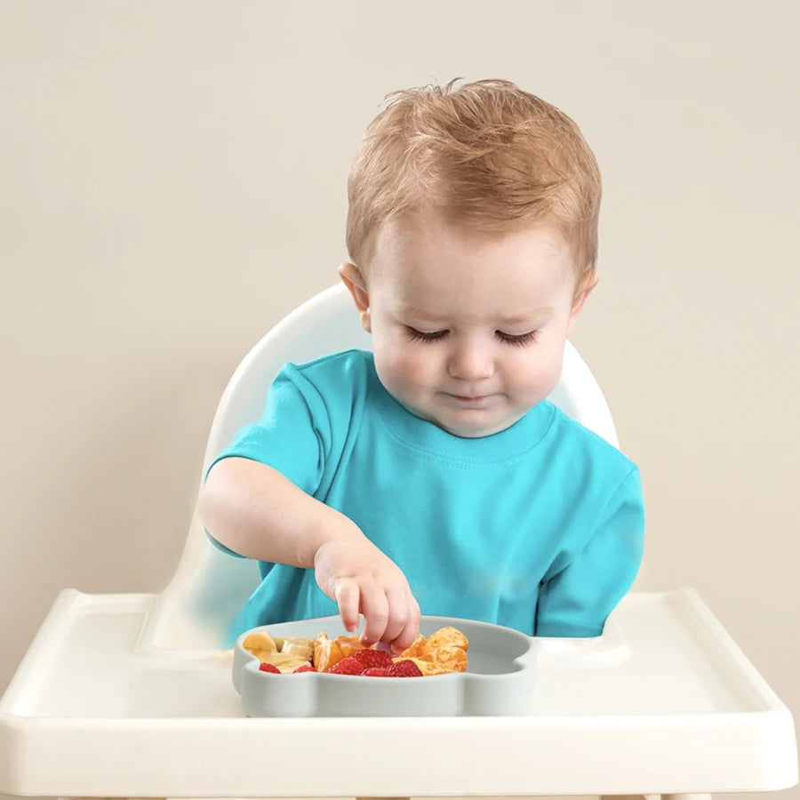 Feeding Training Sucker Bowl