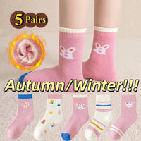 5Pairs B