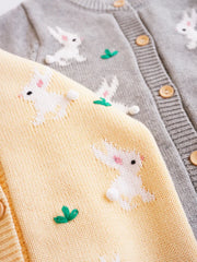 Baby Girls Knitted Sweater