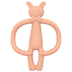Animals Shape Chewing Toy