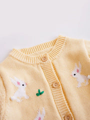 Baby Girls Knitted Sweater