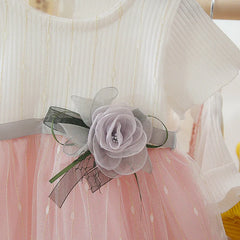 Baby Girl Princess Birthday Party Dress | PAMU8