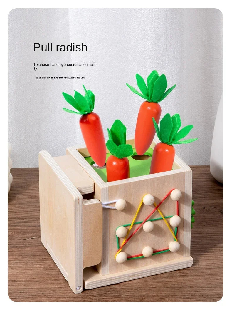 Permanence Box Carrots Child Wooden Toys - PAMU8