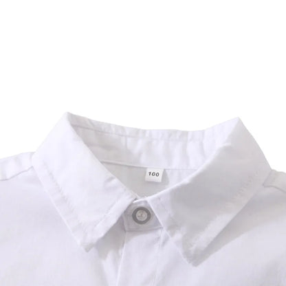 2Pcs Short Sleeve Shirt Shorts Set