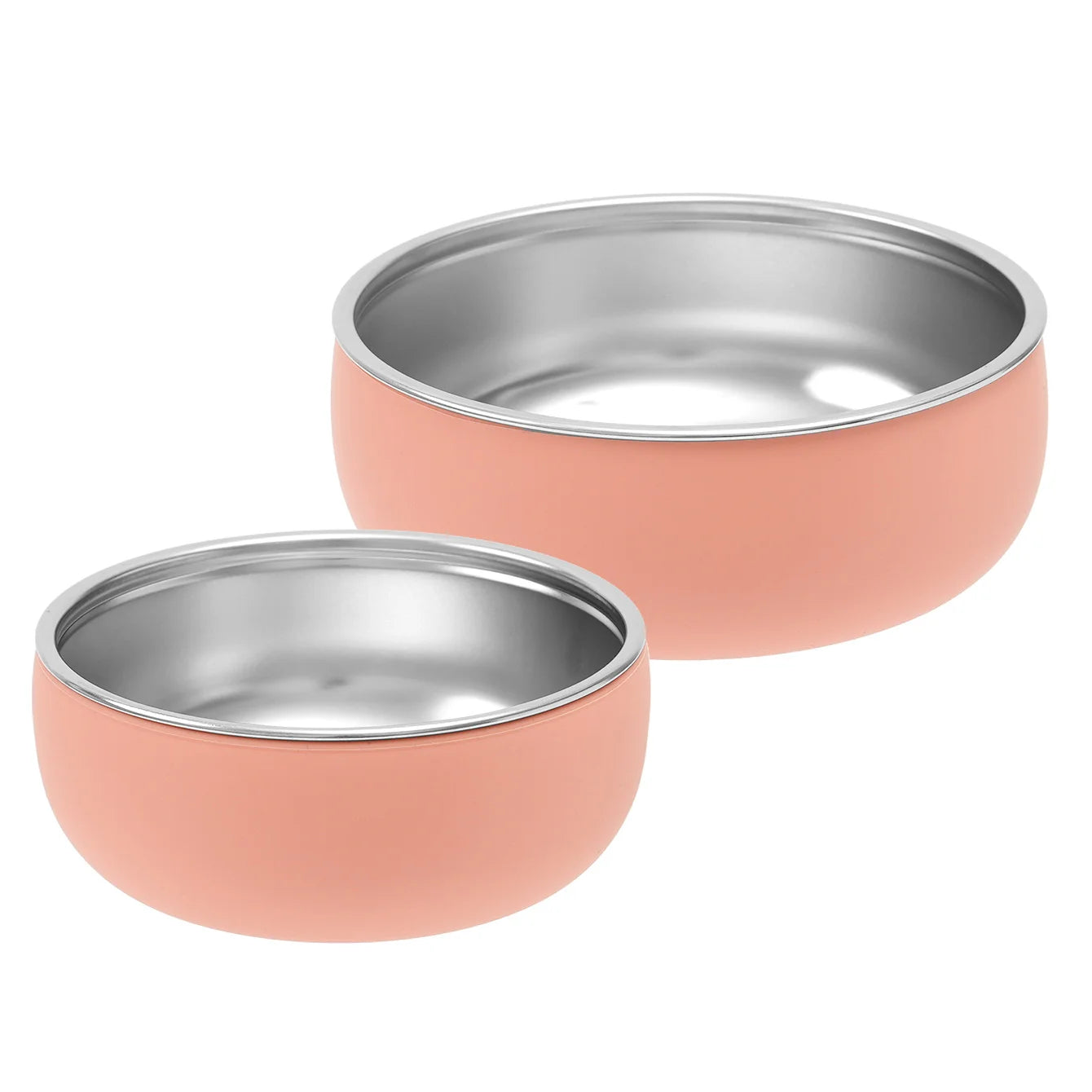 2PCS Stainless Steel Dishes