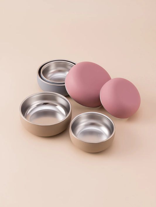 2PCS Stainless Steel Dishes