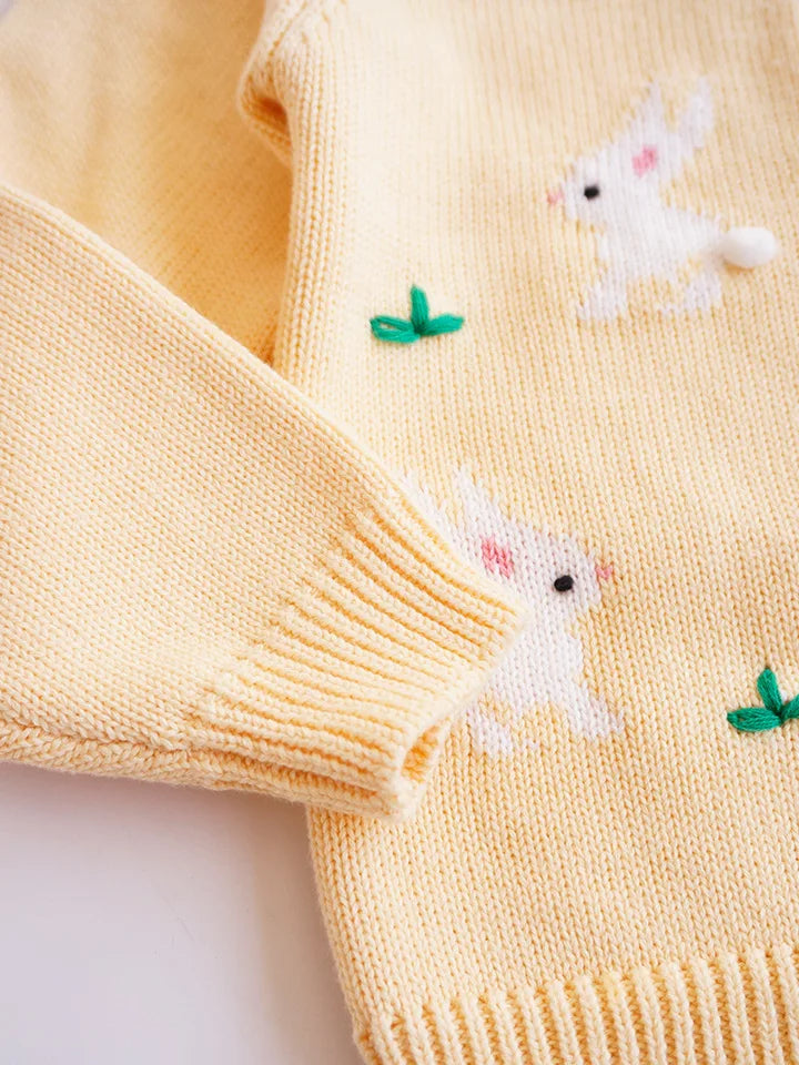 Baby Girls Knitted Sweater