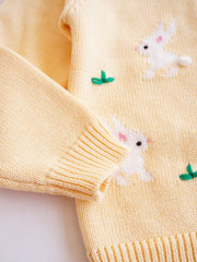 Baby Girls Knitted Sweater