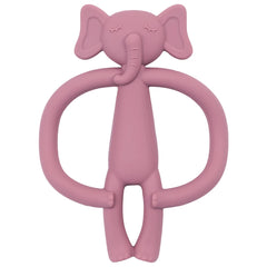 Animals Shape Chewing Toy