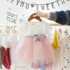 Baby Girl Princess Birthday Party Dress | PAMU8