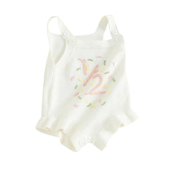 Baby Girl Birthday Romper