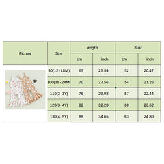 Embroidered Lace Infant Dress