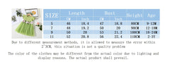 Flower Mesh Skirt Girl Dress