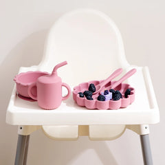 Baby Feeding Plate Set, 5-Piece Toddler Dinnerware