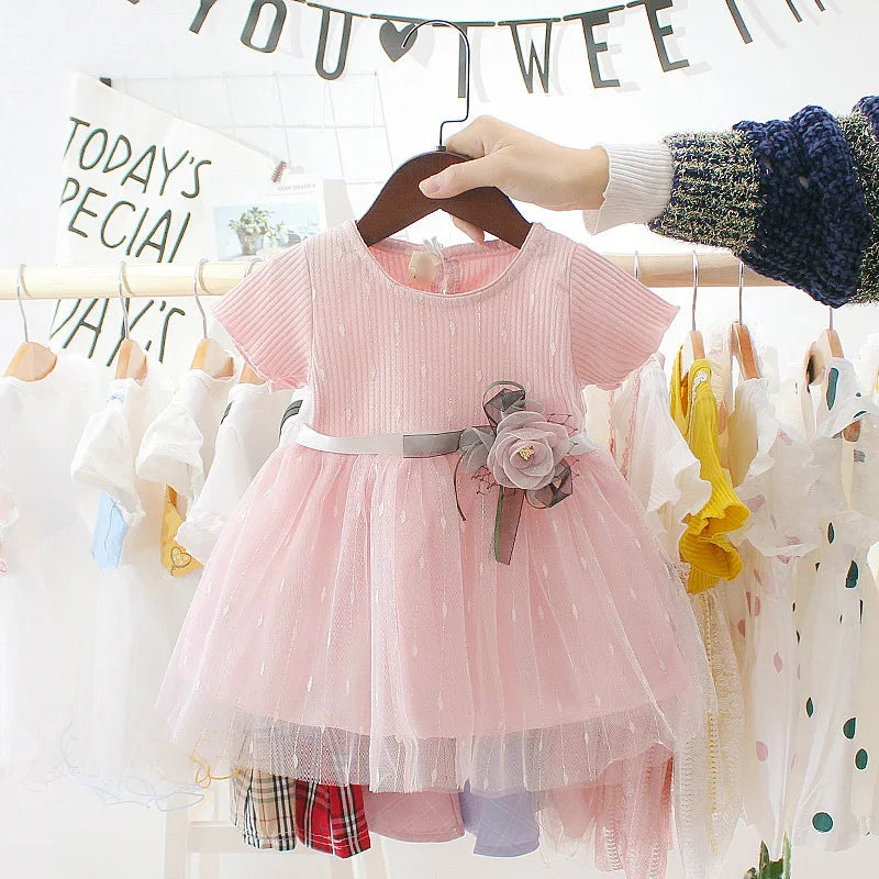 Baby Girl Princess Birthday Party Dress | PAMU8