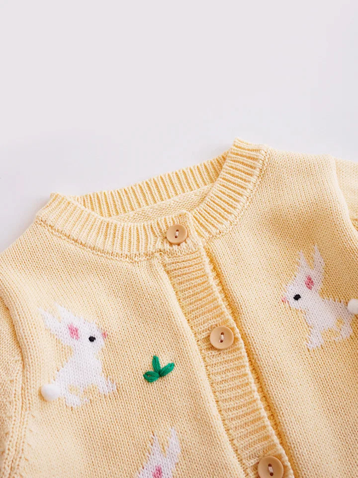 Baby Girls Knitted Sweater