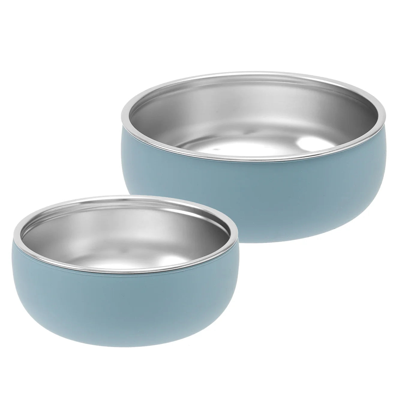 2PCS Stainless Steel Dishes