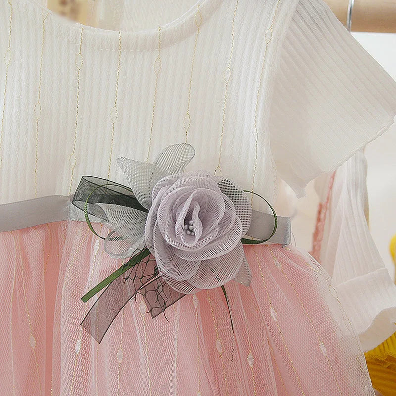Baby Girl Princess Birthday Party Dress | PAMU8