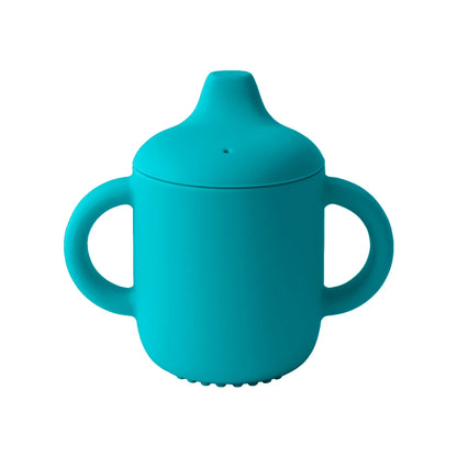 Portable Water Bottle With Double Handle - PAMU8