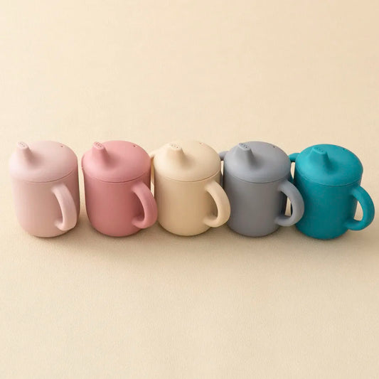 Portable Water Bottle With Double Handle - PAMU8