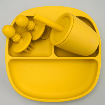Dining Plate Training Bowl