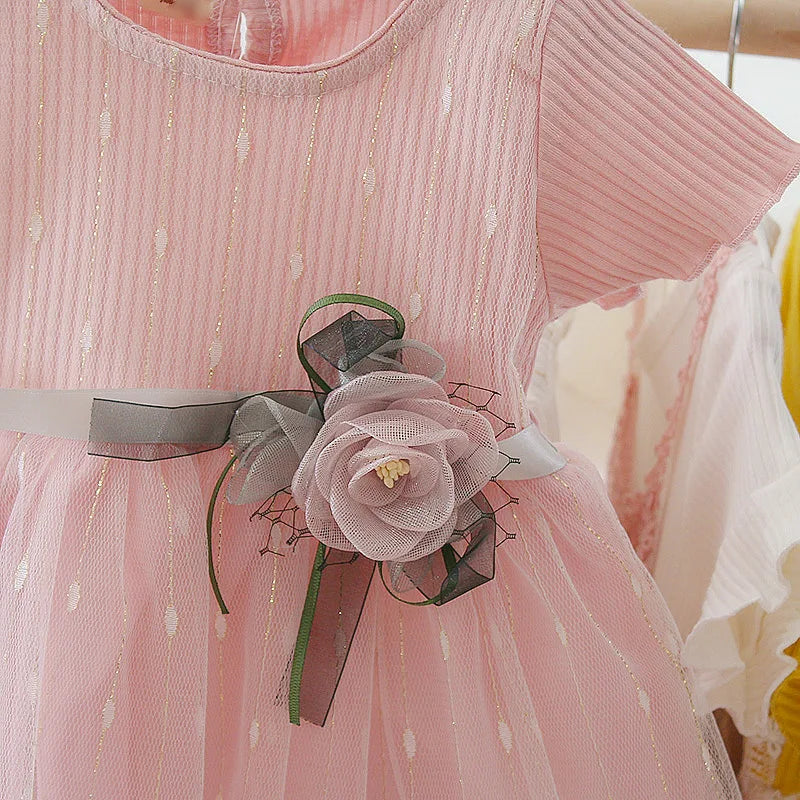 Baby Girl Princess Birthday Party Dress | PAMU8